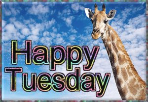 Happy Tuesday003.jpg