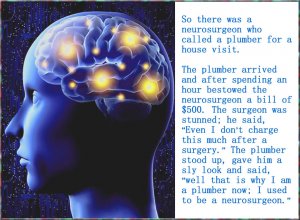 neuroplumber.jpg