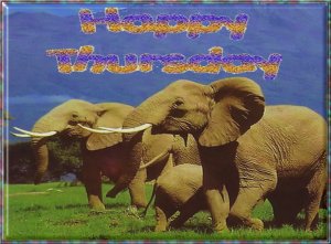 Happy Thursday005.jpg
