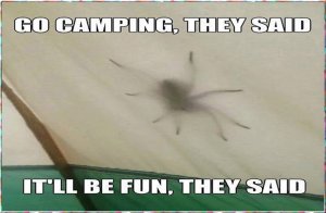 go camping.jpg