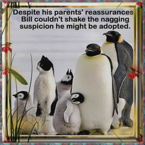 adopted.jpg