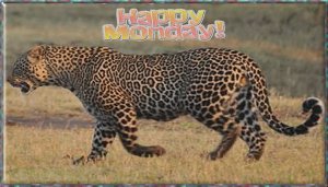 happy monday004.jpg