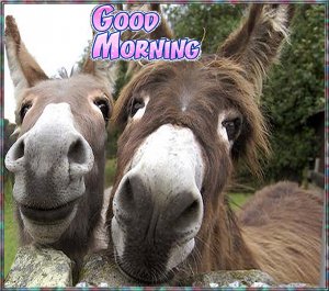Happy Tuesday004.jpg