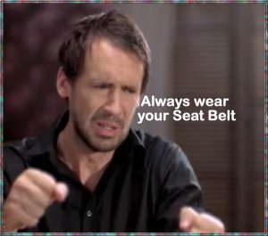 seat belt.jpg seat belt.jpg