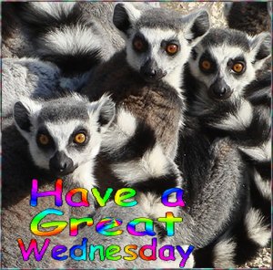 happy wednesday004.jpg