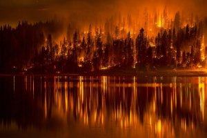 enhanced-buzz-wide-17529-1410954175-6.jpg