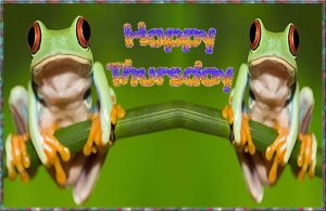 Happy Thursday006.jpg