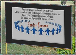Welcome Seniors.2a.jpg