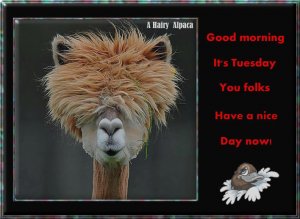 Happy Tuesday005.jpg
