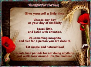Thought give yourself a little time.jpg