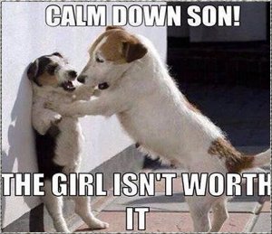 calm down.jpg