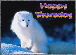 Happy Thursday007.jpg