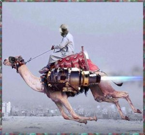 rocketcamel.jpg