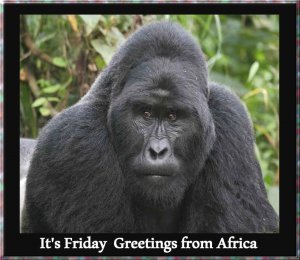 happy friday005.jpg