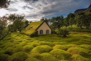 turf-church-hof-4[6].jpg
