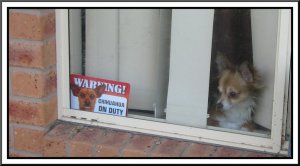On Duty.jpg