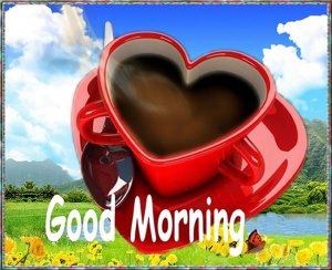 good-morning-everyone.jpg