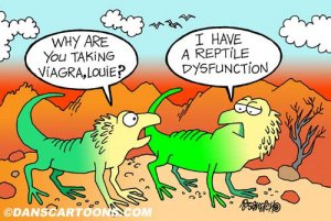 crocodile.jpg