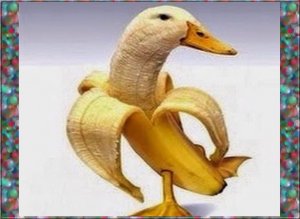 bananaduck.jpg
