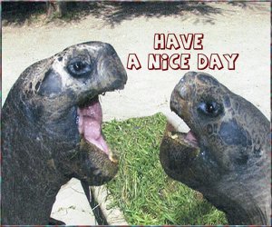 Have a nice day 9.jpg