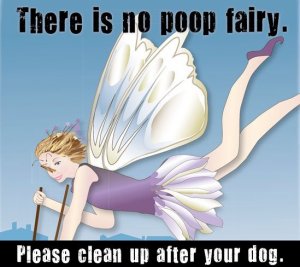 poop fairy.jpg