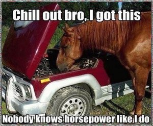 Horsepower.jpg
