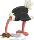 ostrich.jpg