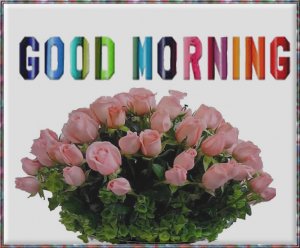 good morning WEDNESDAY 8.10.jpg