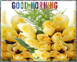 Good Morning Yellow Roses.jpg