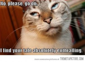 funny-cat-boring-face.jpg funny-cat-boring-face.jpg