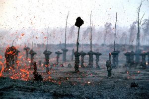 lava-trees-1[6].jpg