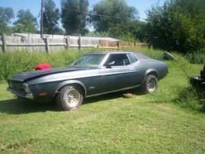 1972_ford_mustang_grande-pic-7191725113950365458.jpeg