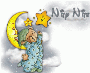 NiteTime.gif