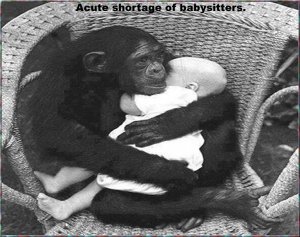 cuddlechimp.jpg