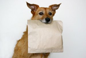istock_000001102544_small.jpg
