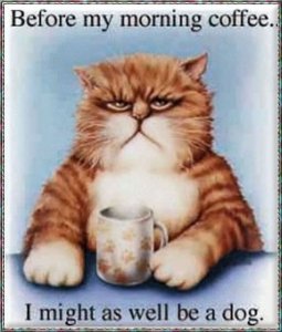 Before my morning coffee.jpg