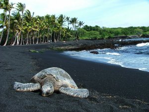 amazing-unusual-beaches-6-2.jpg