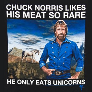 chucknorrisunicorns.jpg