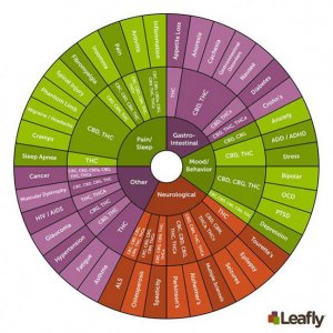 cannabinoid-wheel-small.jpg