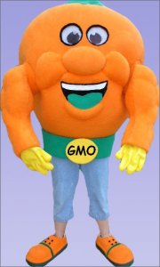muscle_orange.jpg