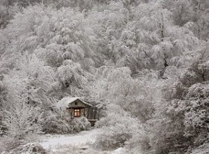 Little Lonely House For The Solitary Soul..jpg