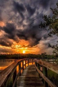 Sunset & Bridge.jpg