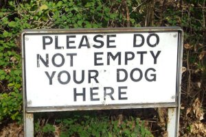 Empty Dog @.jpg