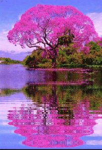 beautifulimagesofnature1.jpg