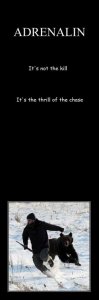 adrenalin.jpg