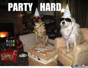 dogparty.jpg