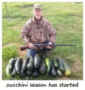 zucchini season2.jpg