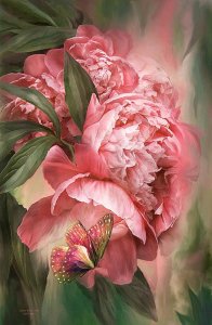peony.jpg
