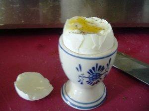 softboiledegg 002.jpg