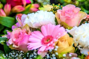 flowers2.jpg